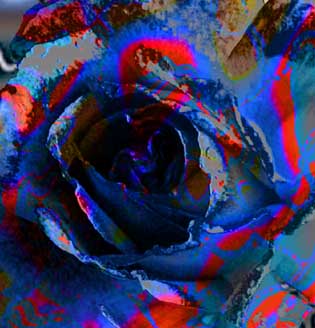 rosarium