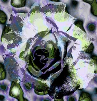 rosarium