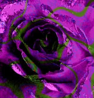 rosarium