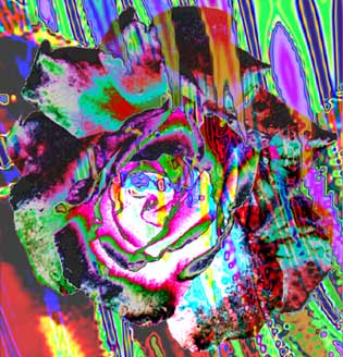 rosarium