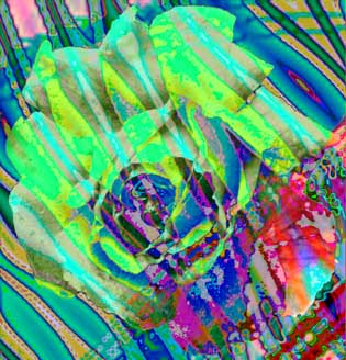 rosarium