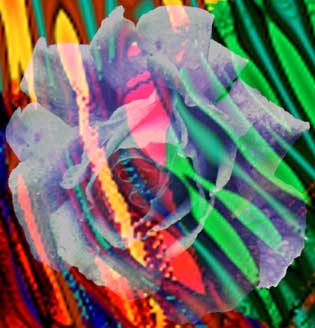 rosarium