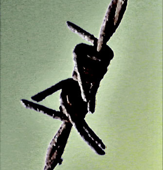 05