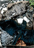 Image_47