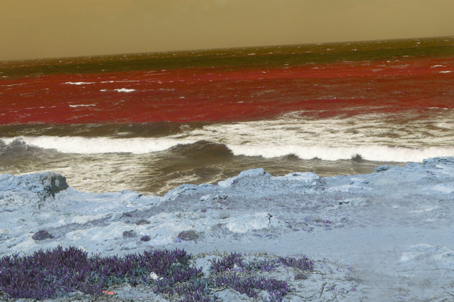 Bord de mer coloré