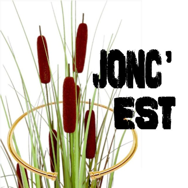 Couverture de joncs