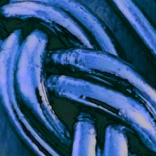 Jonc bleu
