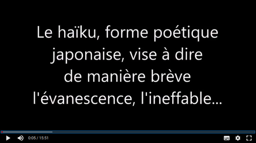 haiku video